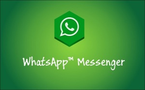 Algumas características do whatsapp
